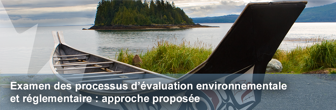 Examen des processus d’évaluation environnementale et réglementaires : approche proposée