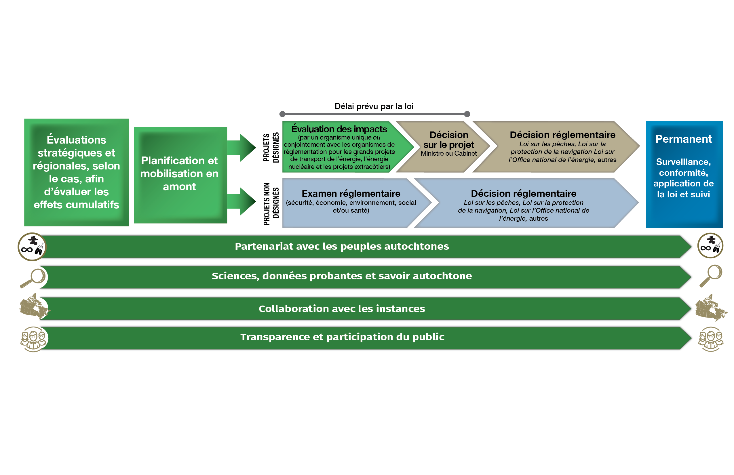 Infographie : Évaluation environnementale et processus de réglementation