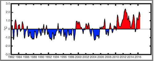 Sea surface temperature anomalies based on 1985-2014 (see long description below)