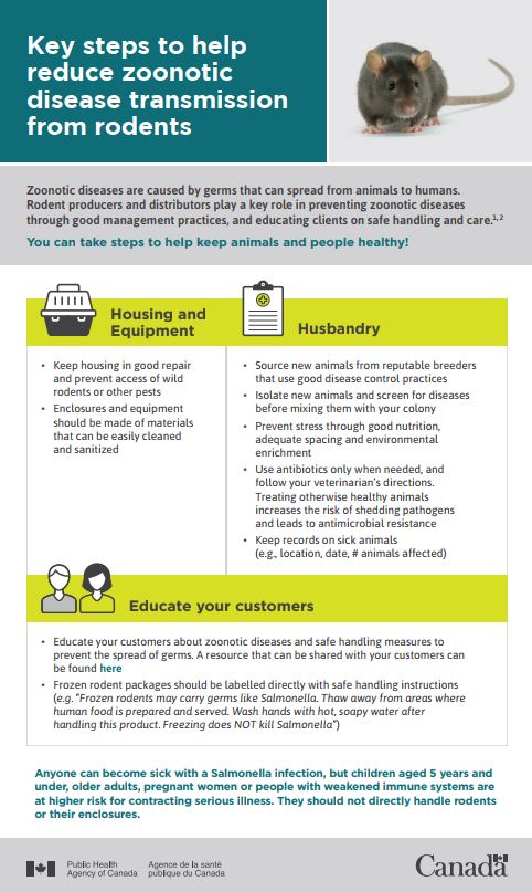 https://www.canada.ca/content/dam/themes/health/publications/healthy-living/key-steps-help-reduce-zoonotic-disease-transmission-rodents-infographic/key-steps-help-reduce-zoonotic-disease-transmission-rodents-infographic-thumb-eng.jpg