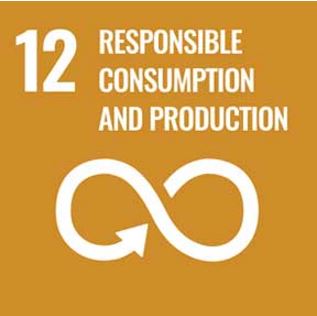 Goal 12 Responsible consumption and production