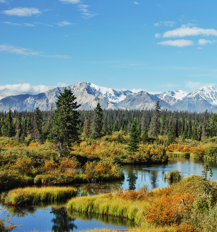 Canadian Landscape with trees and mountians.
